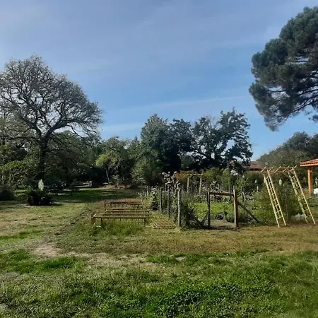 Nyaraló Yonshala Garrosse