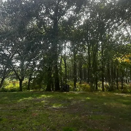 Yonshala Holiday home